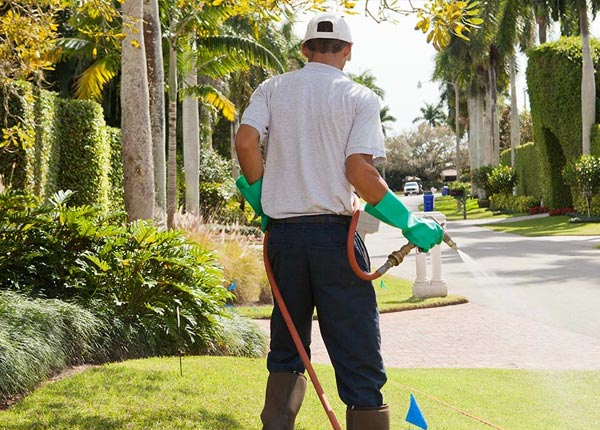 About Fordoche LA Pest Control